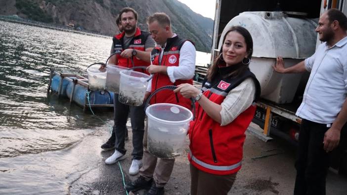 Gümüşhane'deki baraj ve göletlere 246 bin sazan yavrusu salındı