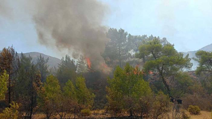 Muğla’da orman yangını. Dur durak bilmiyor