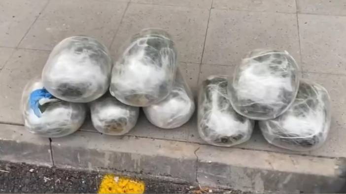 Kayseri'de 9 kilo skunk ele geçirildi