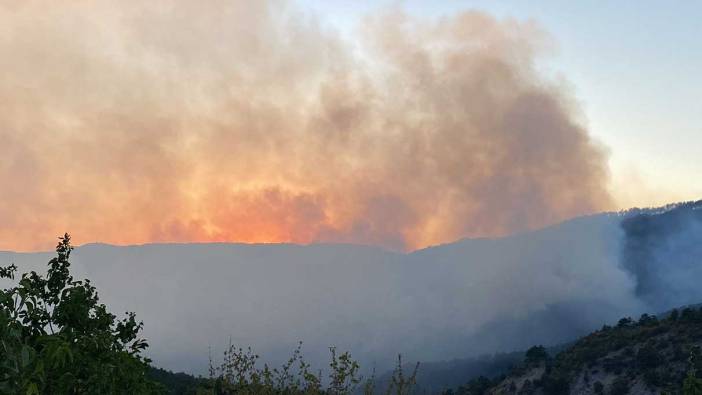 Karabük'te orman yangını