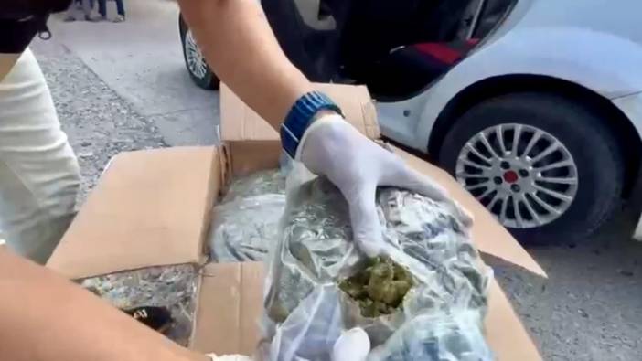 Osmaniye'de 38 kilo skunk ele geçirildi