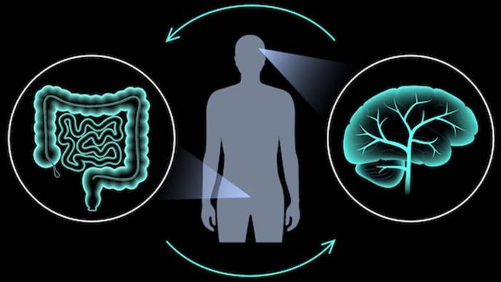 Bağırsak sağlığı beyni etkiler mi?