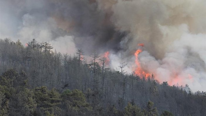Kütahya'daki orman yangını tekrar başladı