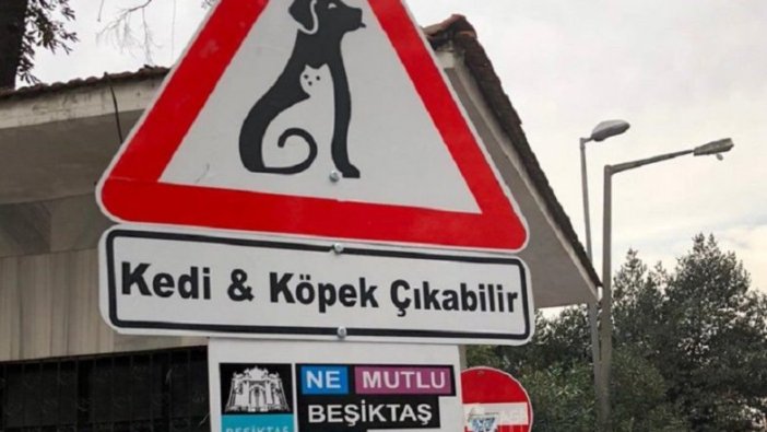 Beşiktaş'ta 'kedi ve köpek çıkabilir' tabelaları
