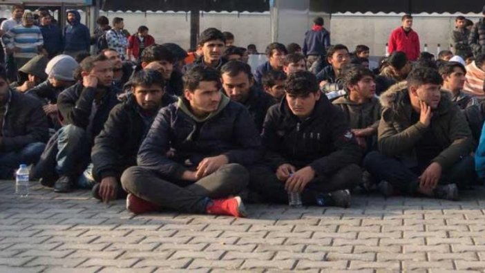 Edirne'de 391 kaçak göçmen yakalandı