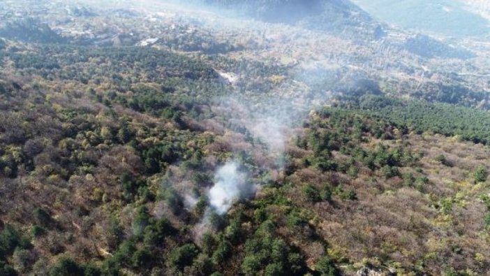 Bursa'daki orman yangınında 10 dönümlük alan kül oldu
