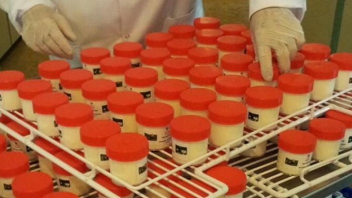Türk bilim insanları üretti: 3 ay dursa da bozulmayan yoğurt