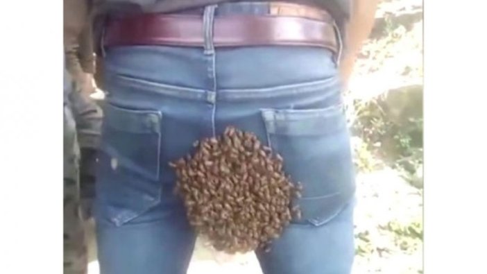 Arılar bir anda kalçasına yapıştı!