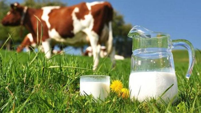 Toplanan inek sütü miktarı ekimde azaldı