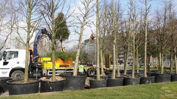 Gezi Parkı'na 150 yeni ağaç dikiliyor