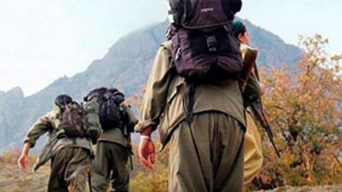 PKK'da çözülme devam ediyor: 1 terörist daha teslim oldu