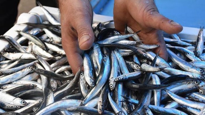 Balıkçılar umudunu yeni sezona taşıdı