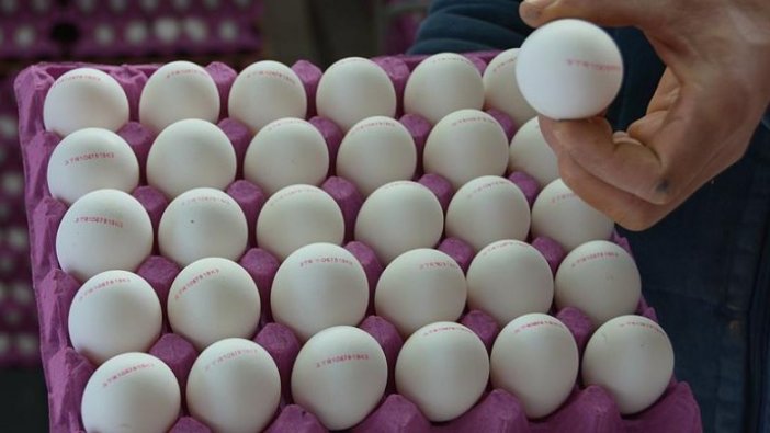 Yumurta karmaşasına barkodlu çözüm