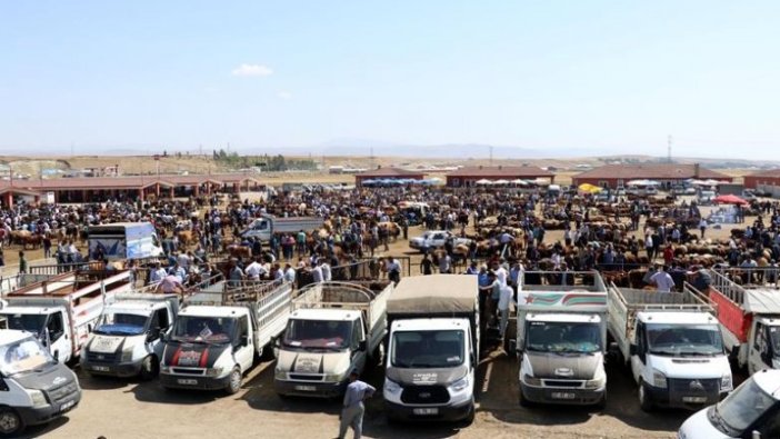 Doğu Anadolu'da kurban pazarlarında hareketlilik