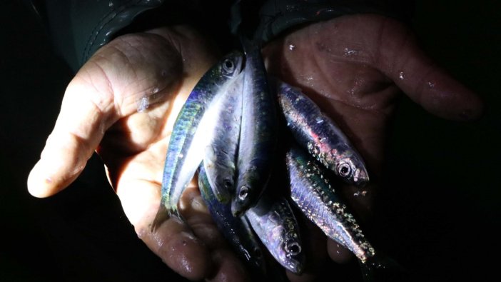Çanakkale’de yeni sezonun ilk avı bereketli başladı