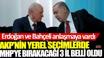 AKP'nin yerel seçimlerde MHP'ye bırakacağı 3 il belli oldu! Erdoğan ve Bahçeli anlaşmaya vardı