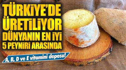 A, B, D ve E vitamini deposu! Türkiye'de sadece o ilde üretiliyor, dünyanın en iyi 5 peynirinden biri!
