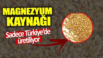 Magnezyum kaynağı!  Sadece Türkiye’de üretiliyor