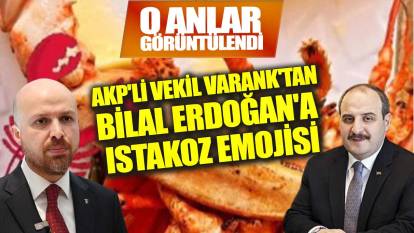 AKP'li vekil Varank'tan Bilal Erdoğan'a ıstakoz emojisi!