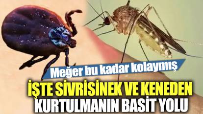 İşte sivrisinek ve keneden kurtulmanın basit yolu! Meğer bu kadar kolaymış