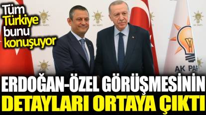 Erdoğan-Özel görüşmesinin detayları ortaya çıktı: Tüm Türkiye bunu konuşuyor