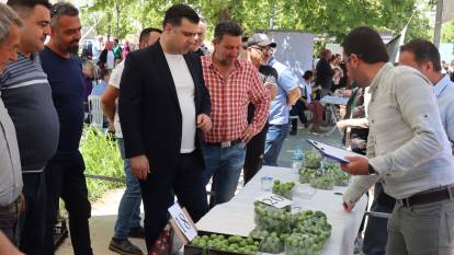 Turgutlu Belediyesi ‘En güzel erik’ yarışması düzenliyor