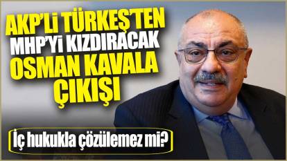 AKP'li Türkeş'ten MHP'yi kızdıracak Osman Kavala çıkışı: İç hukukla çözülemez mi?