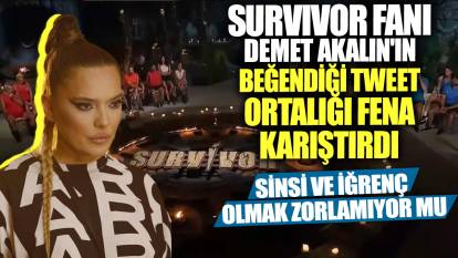 Survivor fanı Demet Akalın'ın beğendiği tweet ortalığı fena karıştırdı! Sinsi ve iğrenç olmak zorlamıyor mu