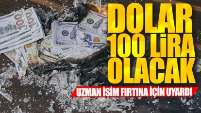 Dolar 100 lira olacak: Uzman isim fırtına için uyardı
