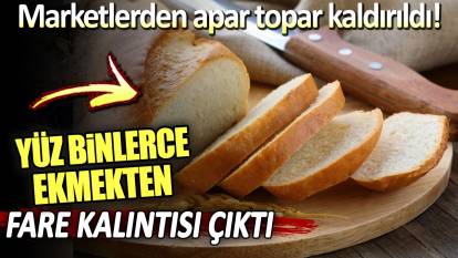 Yüz binlerce ekmekten fare kalıntısı çıktı: Dev markadan haşere skandalı!