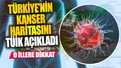 Türkiye'nin kanser haritasını TÜİK açıkladı! O illere dikkat