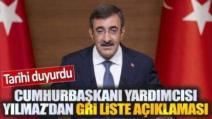 Cumhurbaşkanı Yardımcısı Cevdet Yılmaz'dan gri liste açıklaması: Tarihi duyurdu
