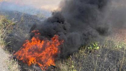Şırnak'ta 60 dönüm buğday ekili alan yandı