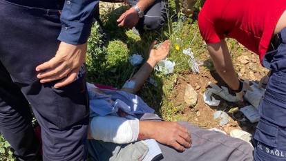 Hakkari'de ayı saldırısına uğrayan kişi yaralandı