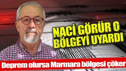 Prof. Dr. Naci Görür: Eğer deprem olursa Marmara bölgesi çöker
