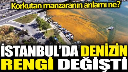 İstanbul'da denizin rengi değişti: Korkutan manzaranın anlamı ne?
