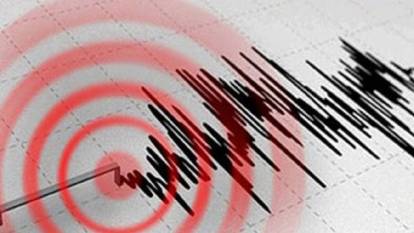 Bitlis'te deprem! Beşik gibi sallandı