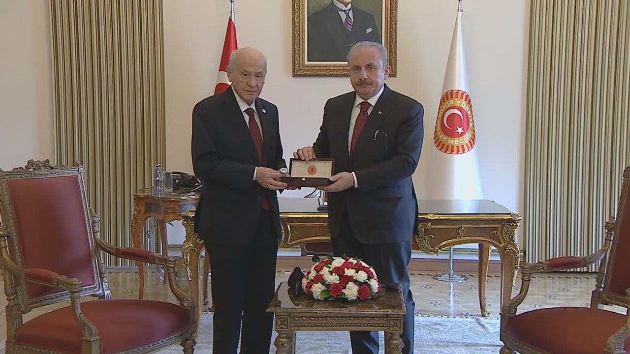 bahceli-sentop-2055232.jpg