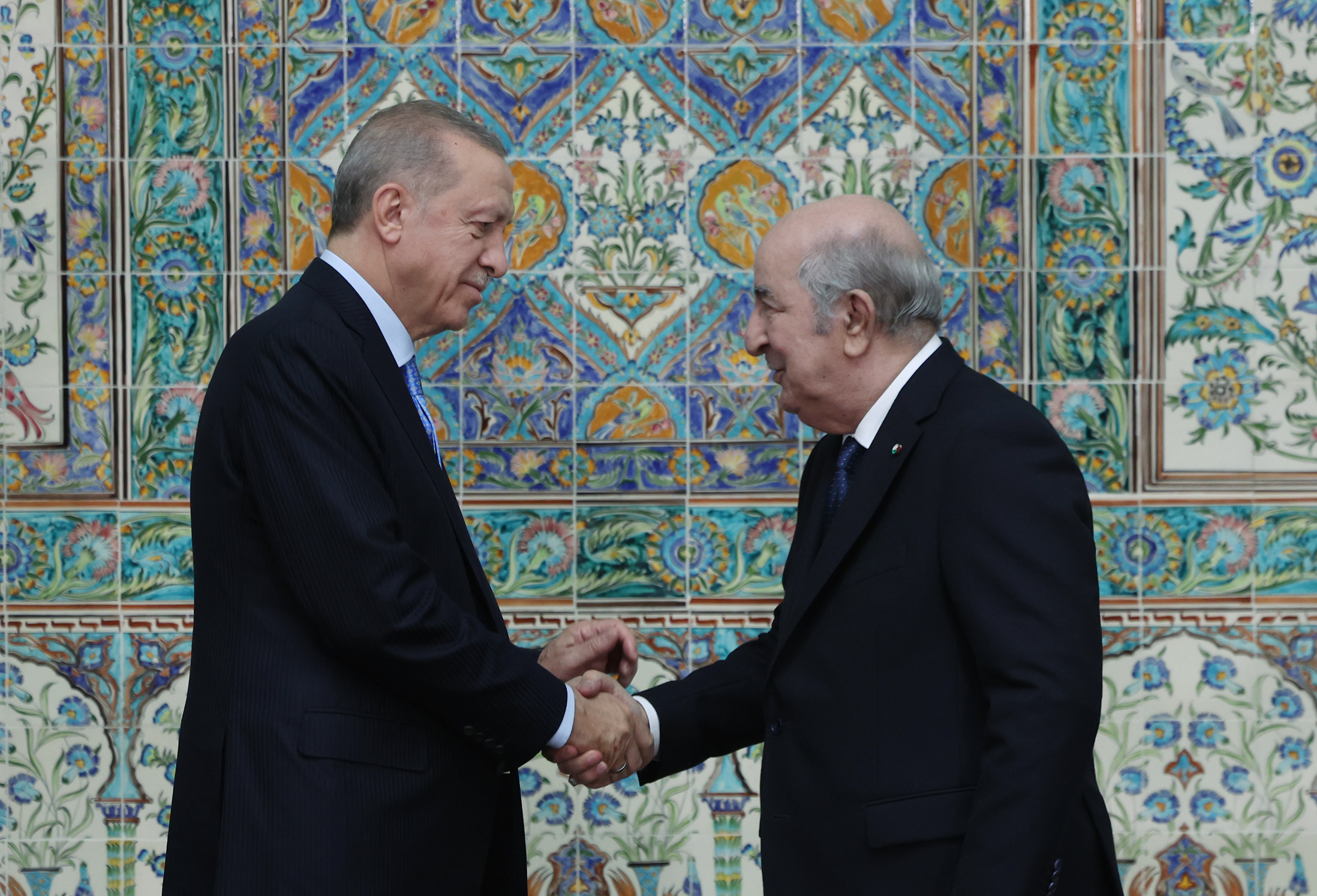 aa-20231121-32984270-32984269-turkish-president-recep-erdogan-received-by-algerian-president-tebboune.jpg