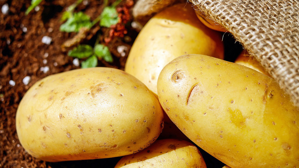 patates.jpg