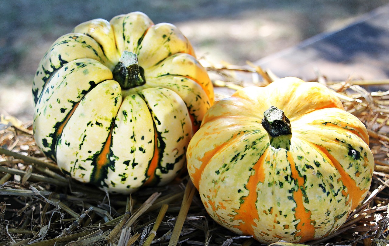 pumpkins-1632786-1280.jpg