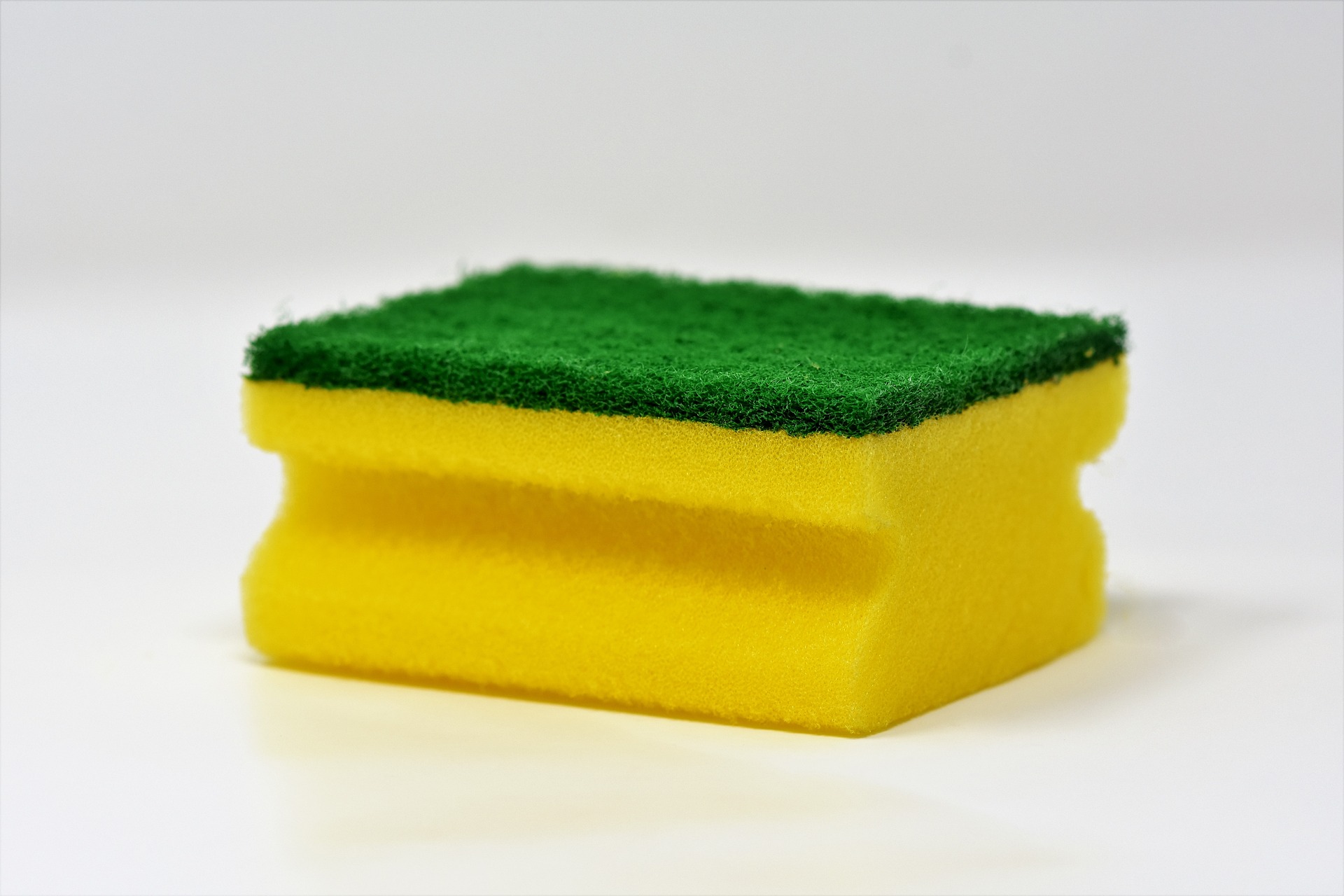 sponge-3081410-1920.jpg