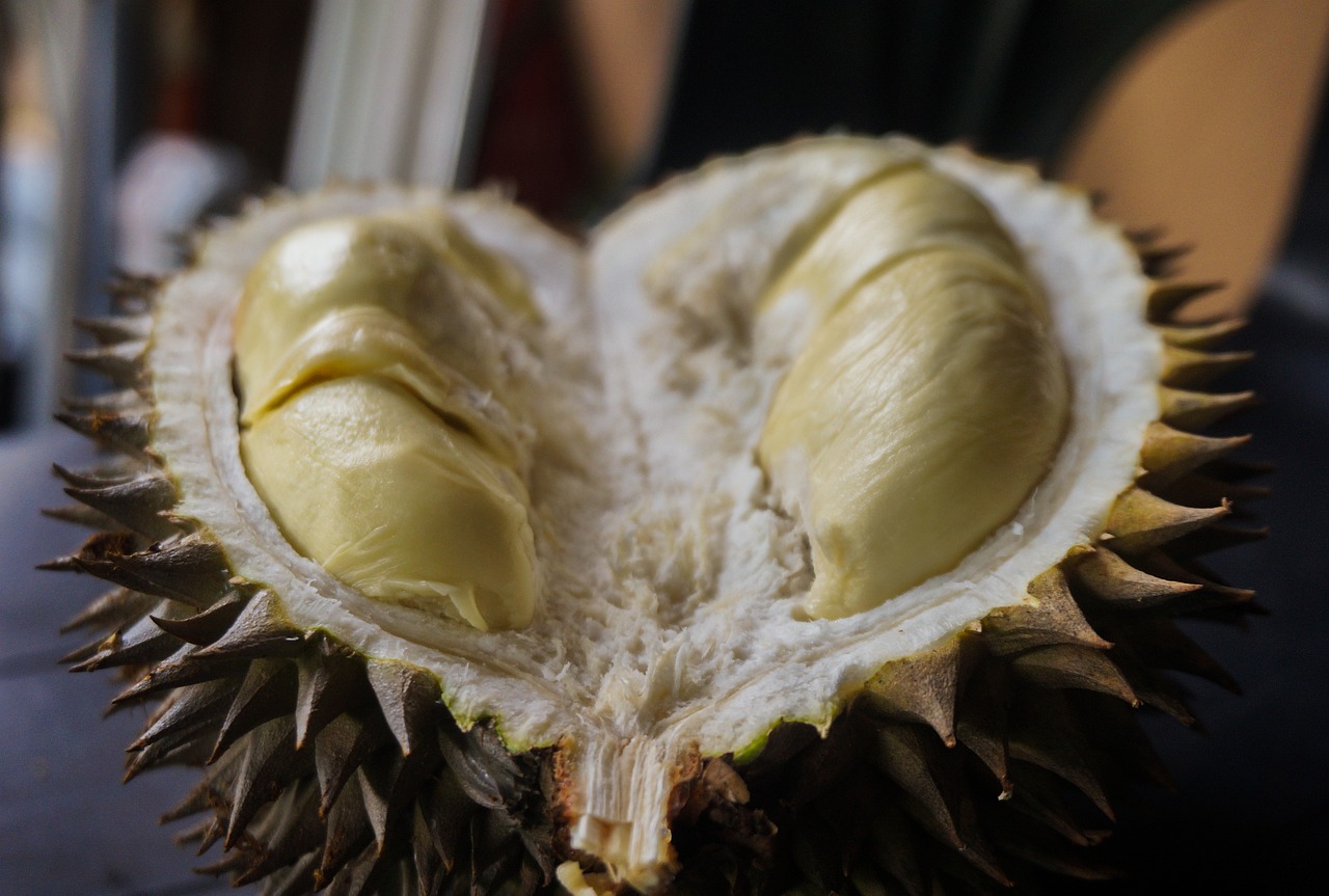 durian-6566324-1280.jpg