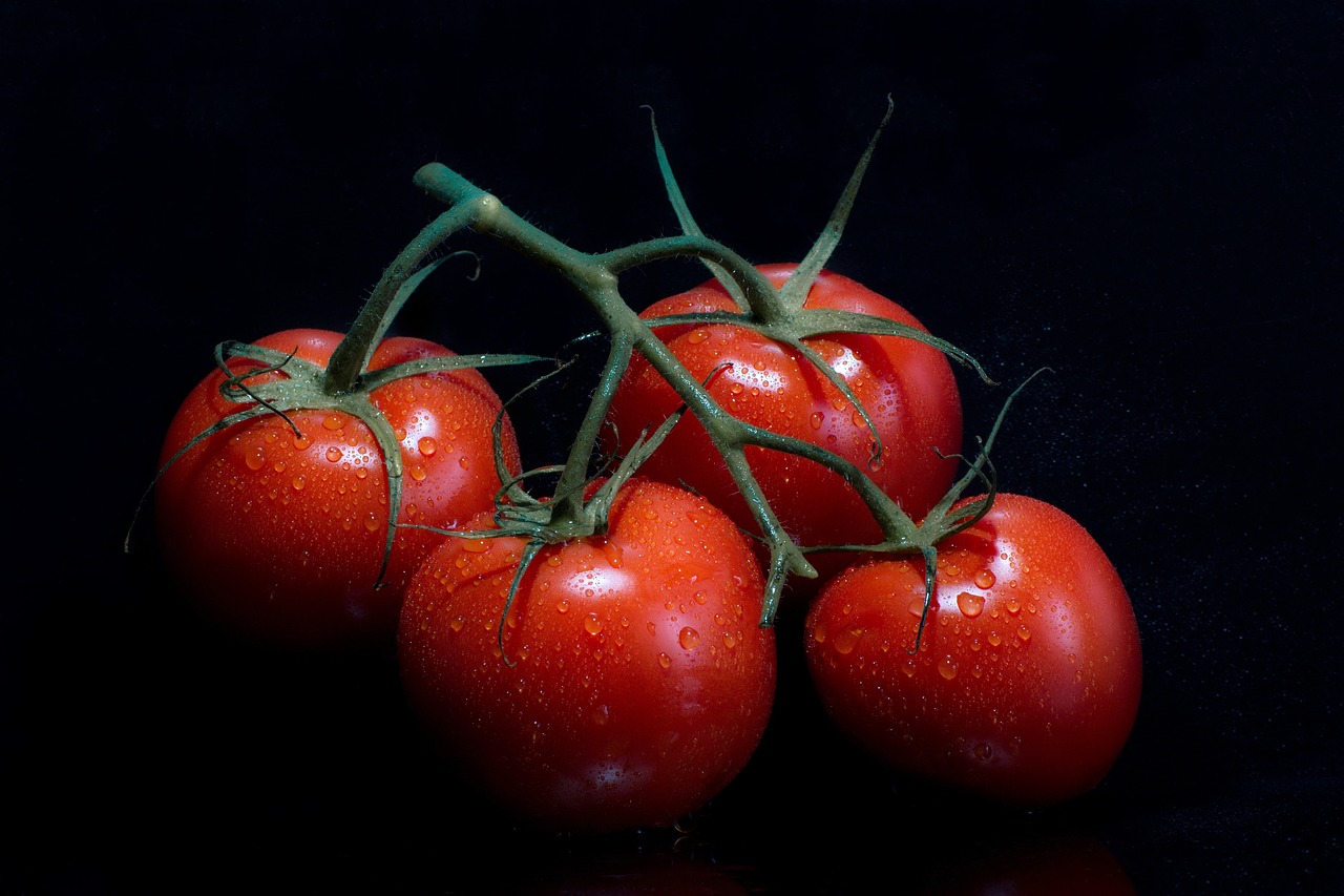 tomatoes-6712908-1280.jpg