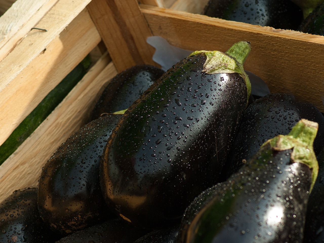 eggplants-1707629-1280.jpg