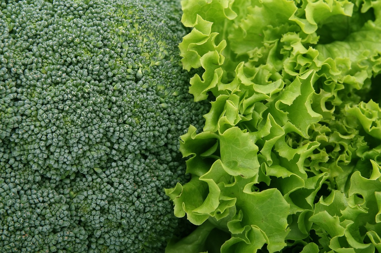 broccoli-1239430-1280.jpg