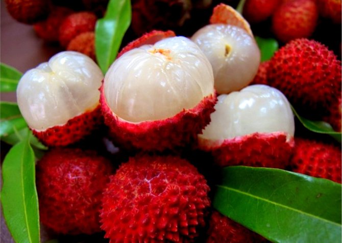 lychee-fruit.jpg