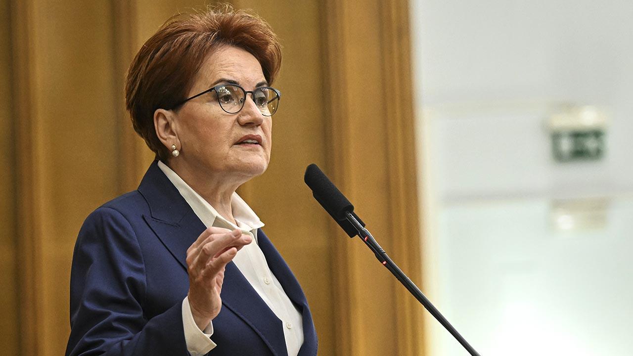 meral-aksener-2126076.jpg