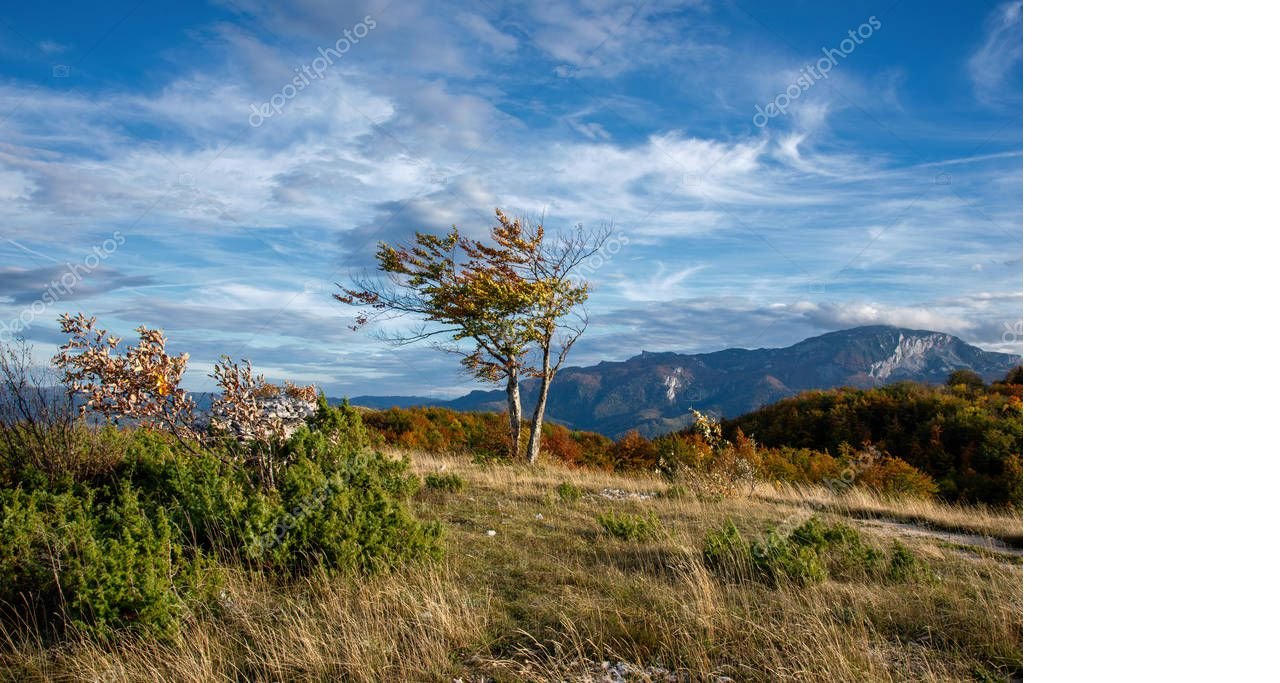 depositphotos-331909264-stock-photo-windy-weather-mountain-landscape-tree.jpg